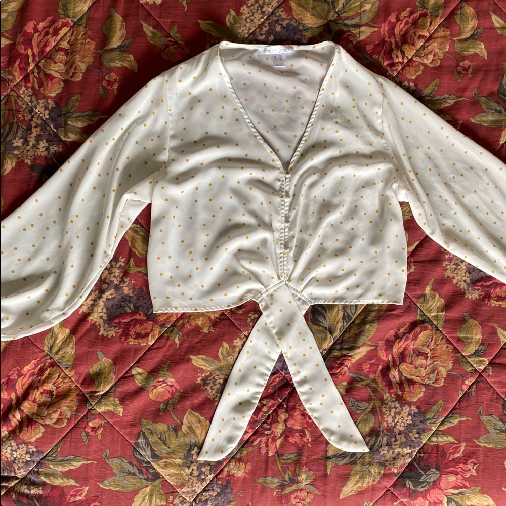 Polk a dot crop top